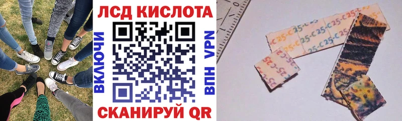 shop телеграм Строитель Марки NBOMe 1,8мг